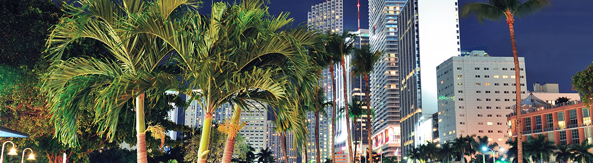 Concerts in South Florida & South Florida Concert Tickets | Vivid Seats